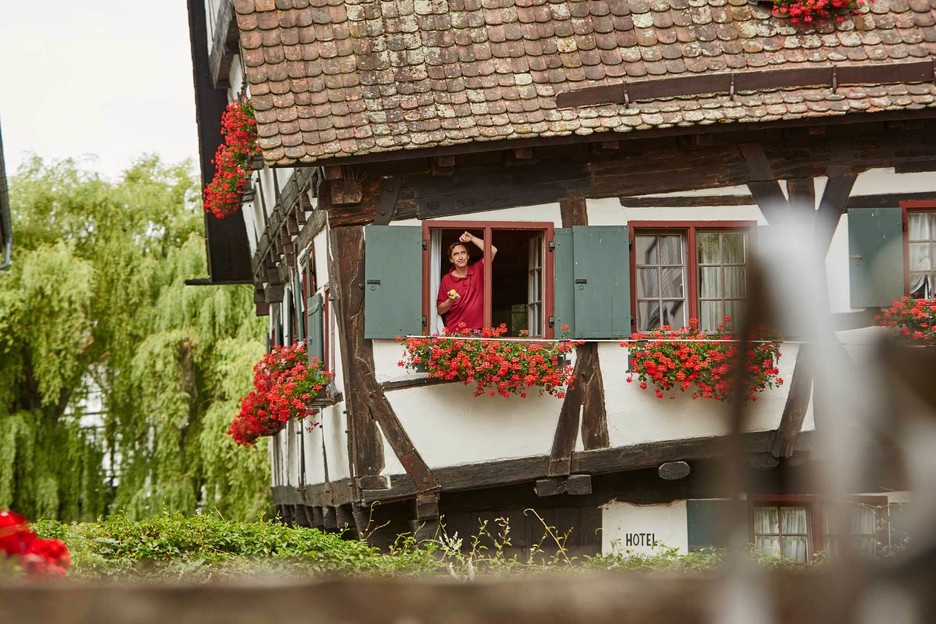 Schiefes Fachwerkhaus in Ulm. Aus einem geöffneten Fenster schaut eine Person. An allen Fenstern hängen rote Geranien in Blumentöpfen.